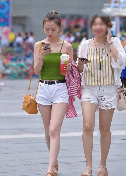 茶叶交流群
